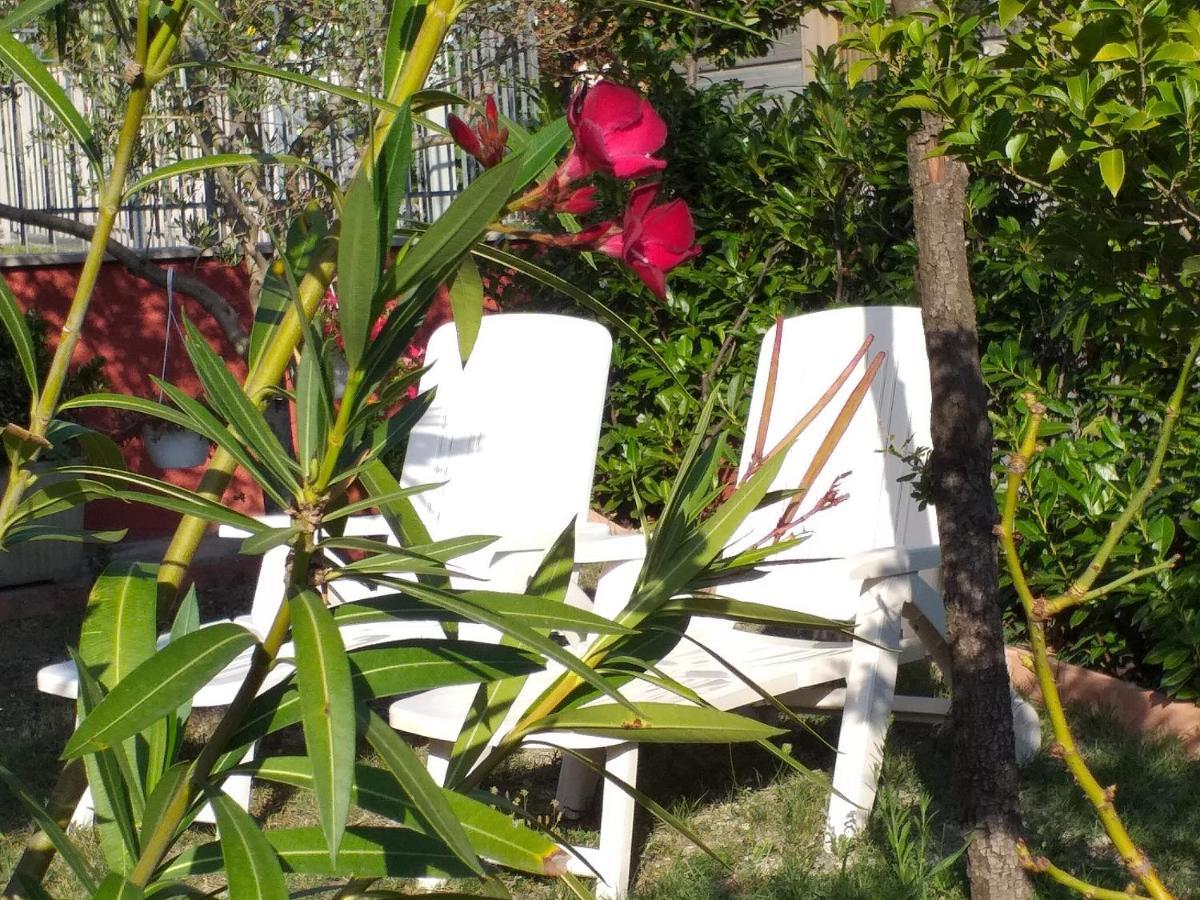 Bed & Breakfast La Rosa Rossa Cagli Exteriér fotografie